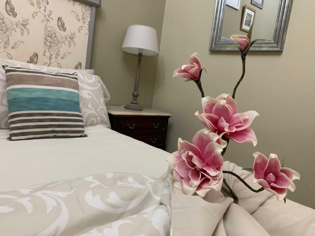 Dream Flat Apartment ซานตาครูซ เด เตเนริเฟ ภายนอก รูปภาพ